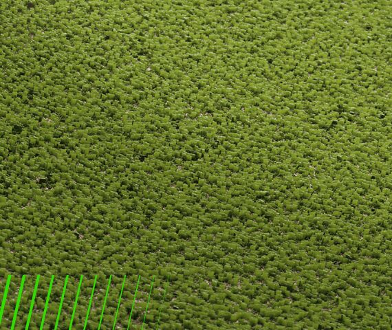 Edel Id Artificial Hockey Pitch Yarn Pile Min