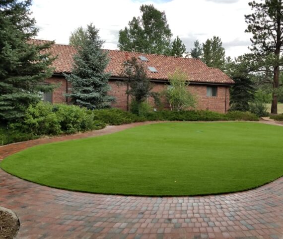 Royal Grass Bloom 4