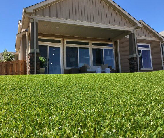 Royal Grass Lush 4