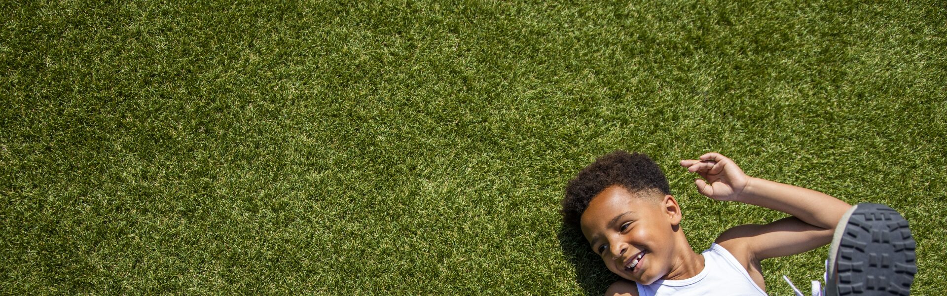 Royal Grass Header Bloom