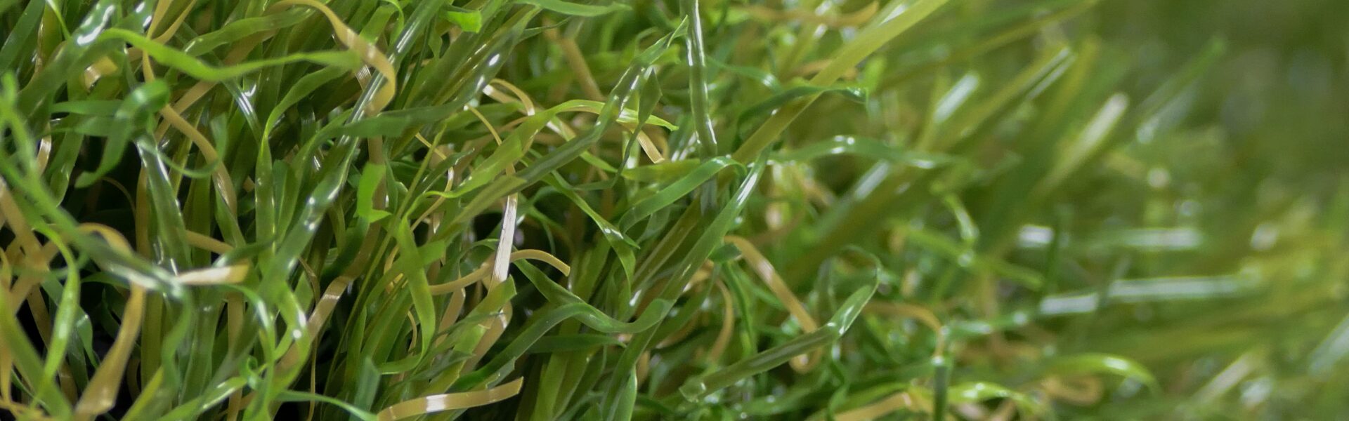 Edel Natura Synthetic Lawn Header