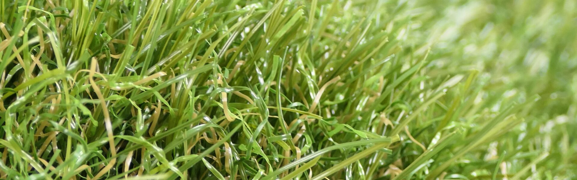 Edel Summit Synthetic Lawn Header Edel Summit Synthetic Lawn Header